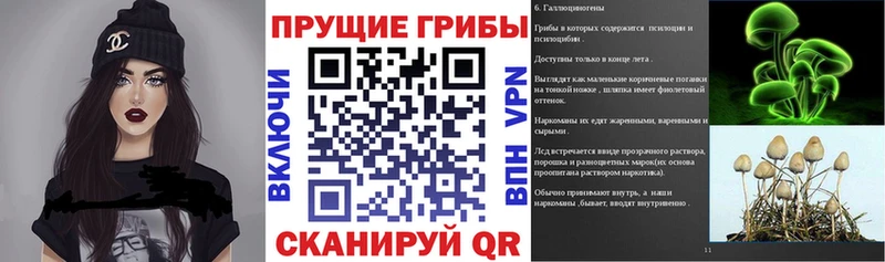 Галлюциногенные грибы Magic Shrooms  где купить наркоту  Черепаново 